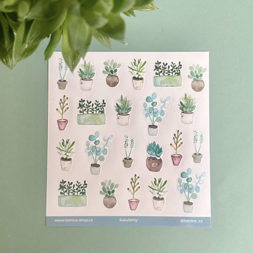 Be Nice Stickers - Suculents