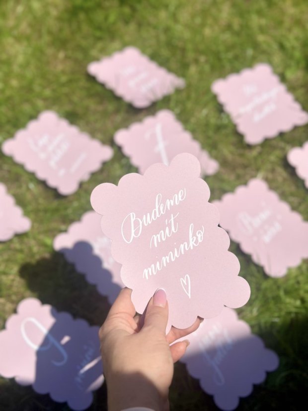 Be Nice ECO Pregnant and Baby Milestone Cards pink
