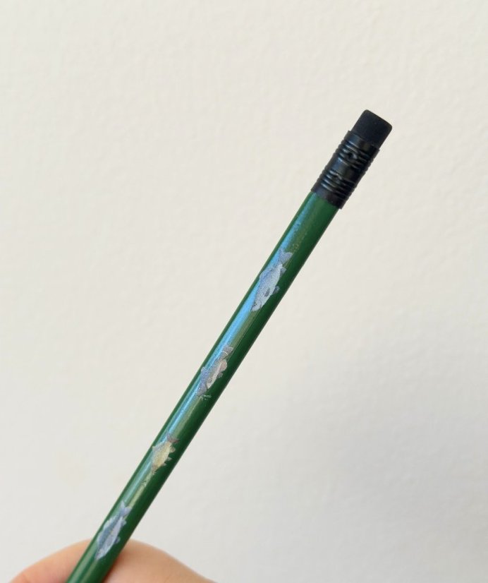 Be Nice Pencil – Fish