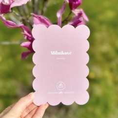 Be Nice ECO Baby Milestone Cards pink