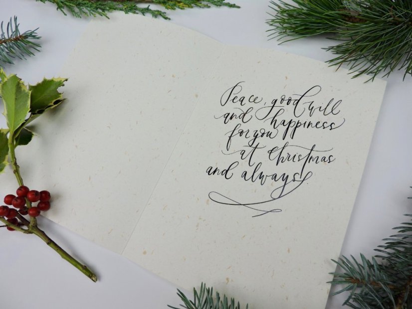 Be Nice EKO vánoční přání Merry Christmas modré