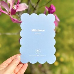 Milníkové kartičky pro těhotné a pro miminka - sada modrá
