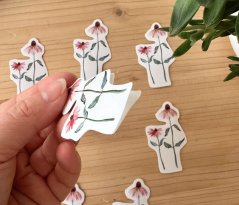 Sticker - Echinacea