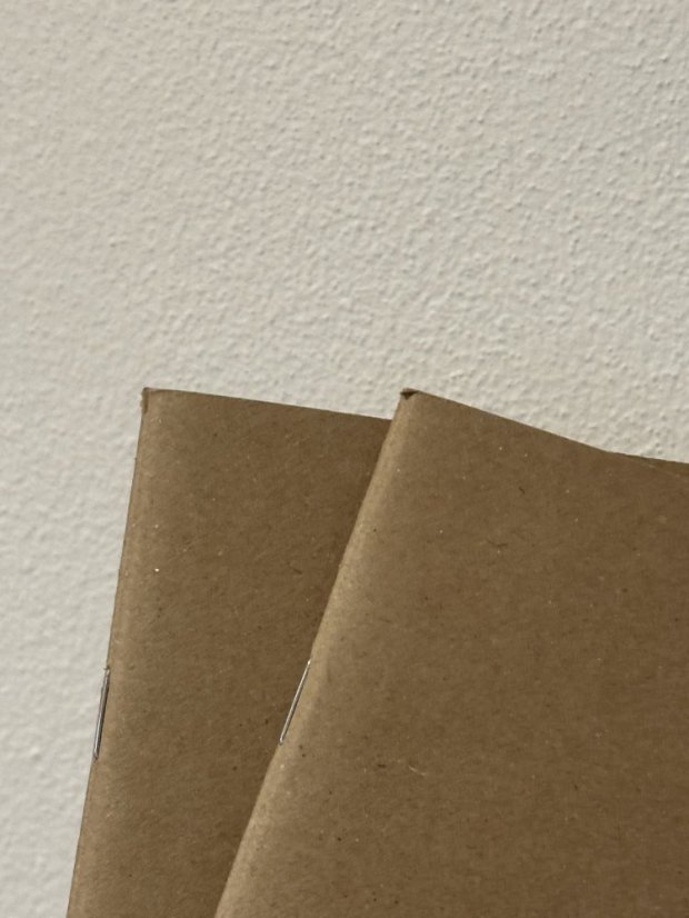 Be Nice blok do diáře KOSTIČKY - ZACHRAŇ MĚ