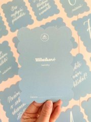 Be Nice ECO Pregnancy Milestone Cards blue