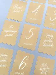 Be Nice ECO Pregnant and Baby Milestone Cards beige