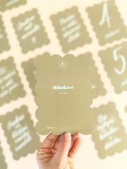 Be Nice ECO Baby Milestone Cards beige