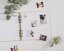 Be Nice ECO photo album - Couple goals