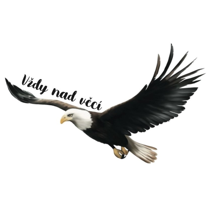 Be Nice Sticker - Eagle