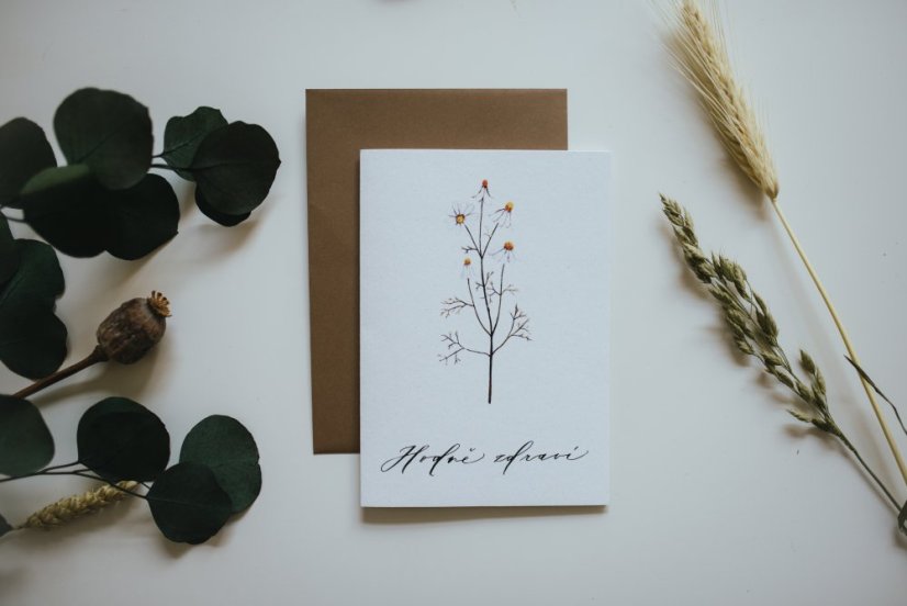 Be Nice card - Lots of health