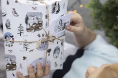 Be Nice ECO Christmas gift box - Cinderella