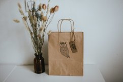 Be Nice Gift bag - Owl