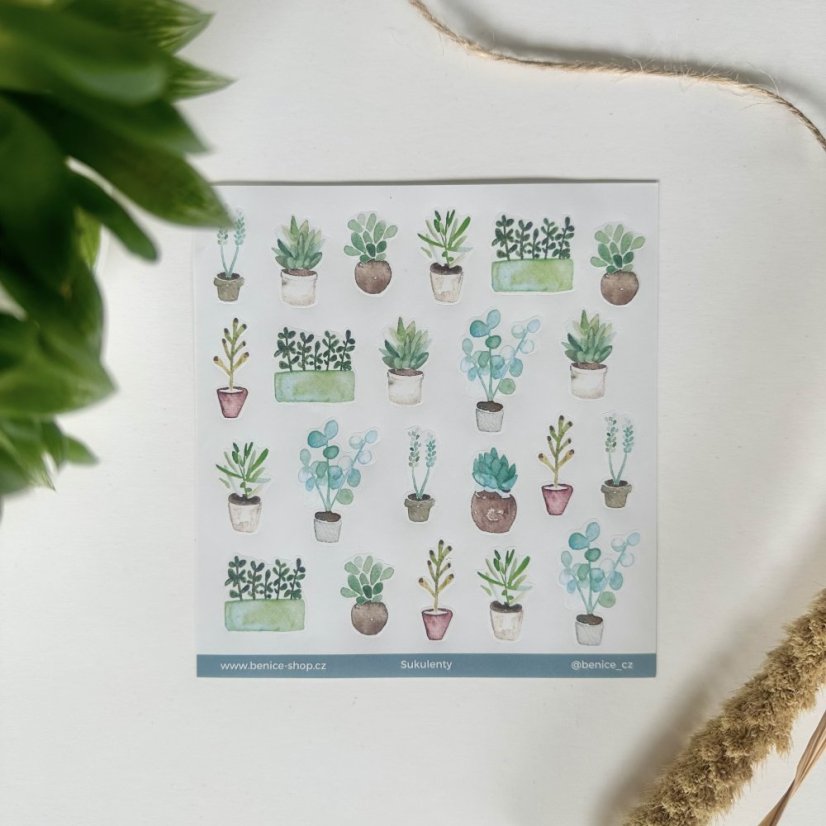 Be Nice Stickers - Suculents