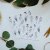 Be Nice Stickers Herbs