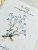 From growing paper