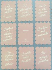 Be Nice ECO Pregnancy Milestone Cards pink