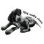Be Nice Sticker - Dog