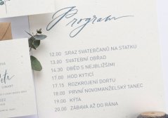 program