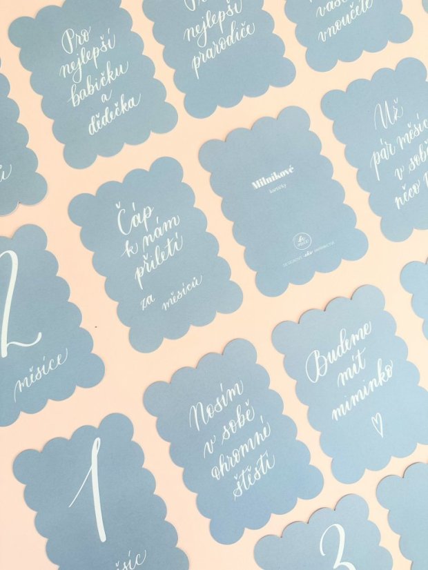 Be Nice ECO Pregnancy Milestone Cards blue