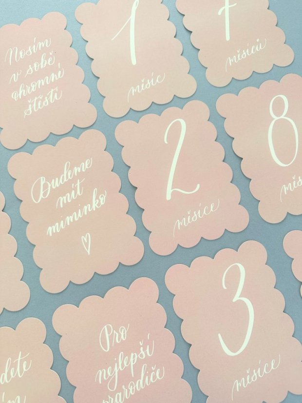 Be Nice ECO Pregnant and Baby Milestone Cards pink