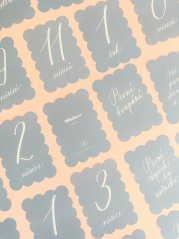 Be Nice ECO Baby Milestone cards blue
