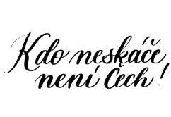 Be Nice Nažehlovačka na textil - Kdo neskáče není čech!