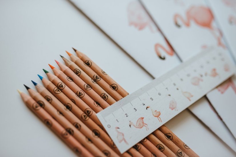 Be Nice ECO Starter Set for First-Graders