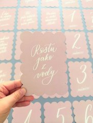 Be Nice ECO Baby Milestone Cards pink