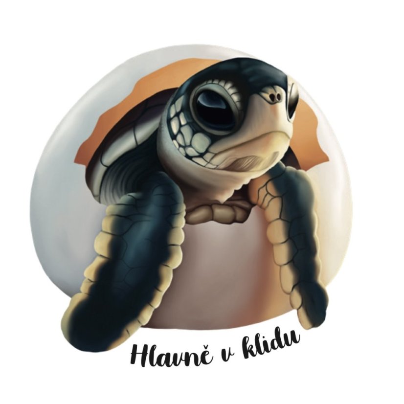 Be Nice Samolepka - Želva