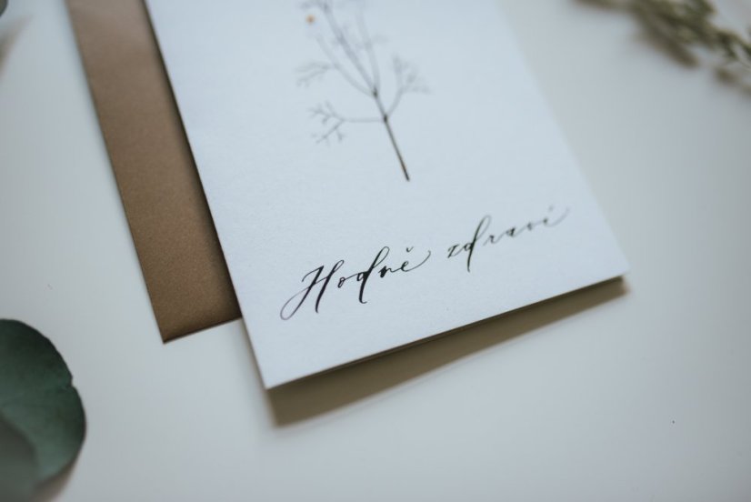 Be Nice card - Lots of health