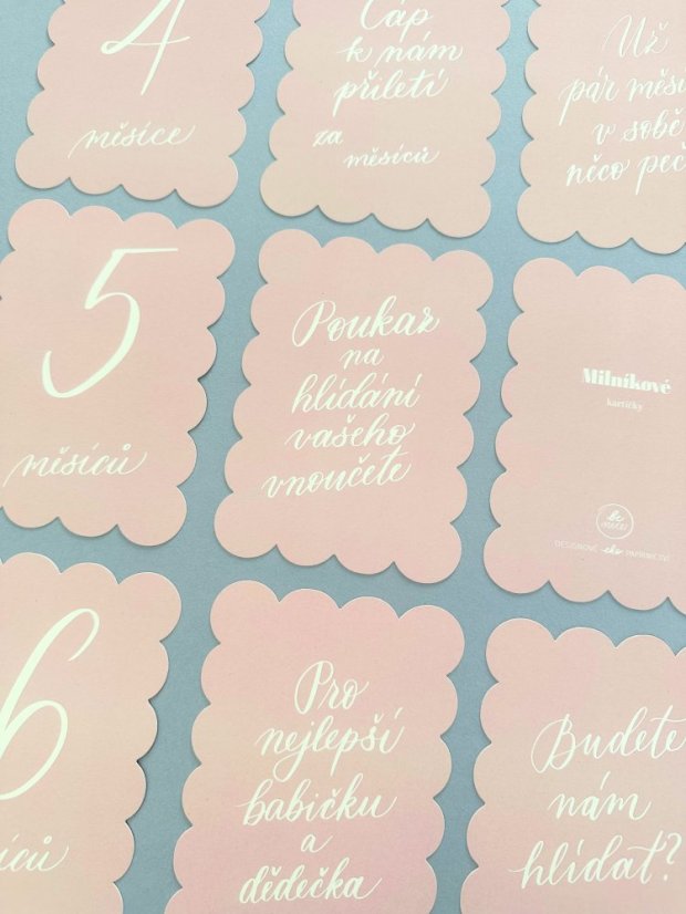 Be Nice ECO Pregnant and Baby Milestone Cards pink
