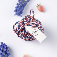 Be Nice String three colors