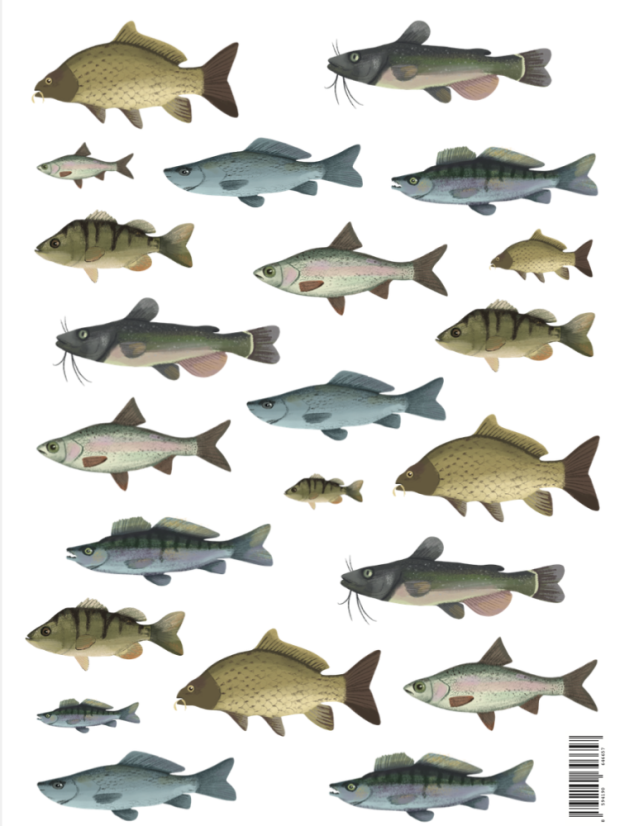 Be Nice Stickers – Fish
