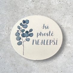 Motivační magnetka na lednici - Jsi prostě NEJLEPŠÍ
