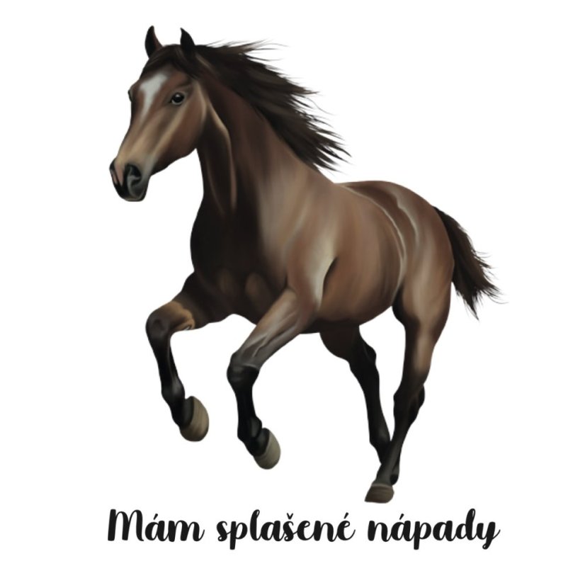 Be Nice Samolepka - Kůň