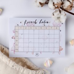 Be Nice Timetable