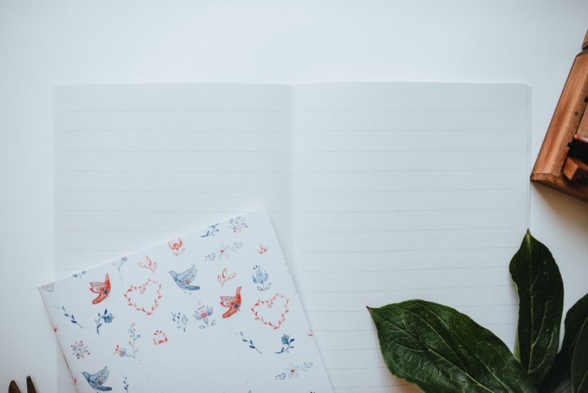 Be Nice School ECO Notebook Lined A5 - 12 mm, No. 523