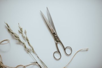 Scissors - Color - Blue