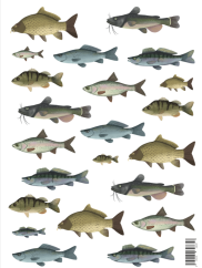 Be Nice Stickers – Fish