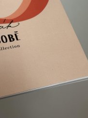 Skicák Baťa SOBĚ - Upcycled collection - ZACHRAŇ MĚ