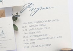 program
