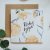 Be Nice Card Peony - Happy Birthday