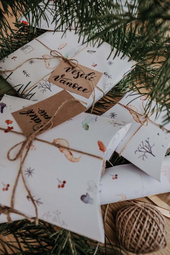 Be Nice ECO Poetic Christmas wrapping set
