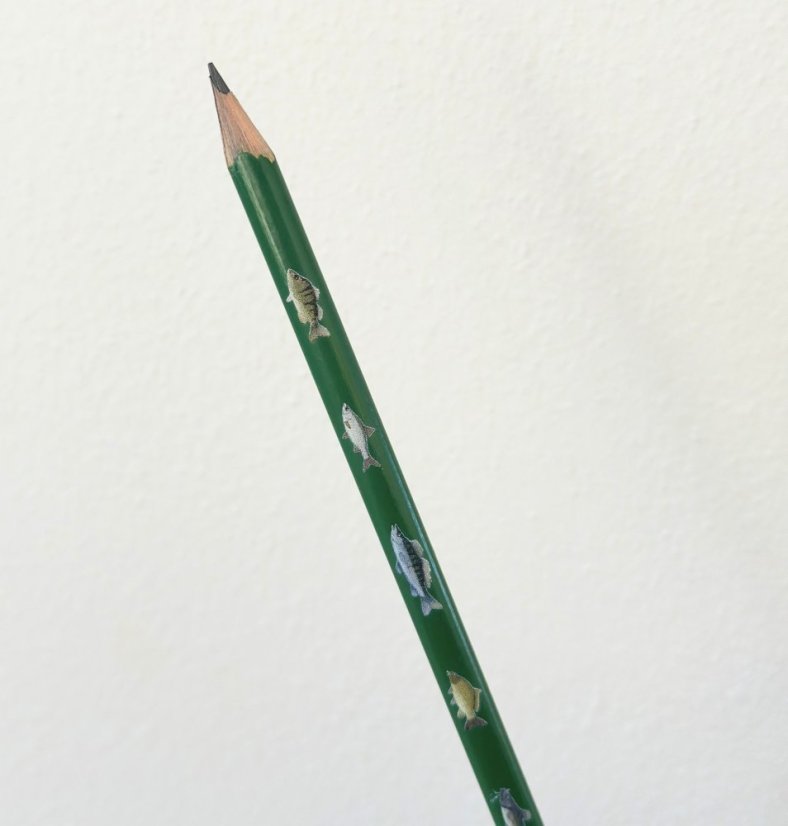 Be Nice Pencil – Fish