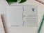 Be Nice My Poctcard