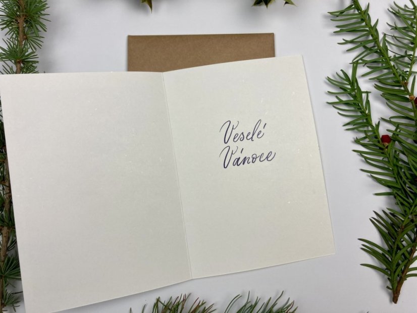 Be Nice ECO Christmas card - Christmas eve