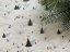 Be Nice ECO Christmas wrapping paper Winter wonderland - Size: 68 x 47 cm