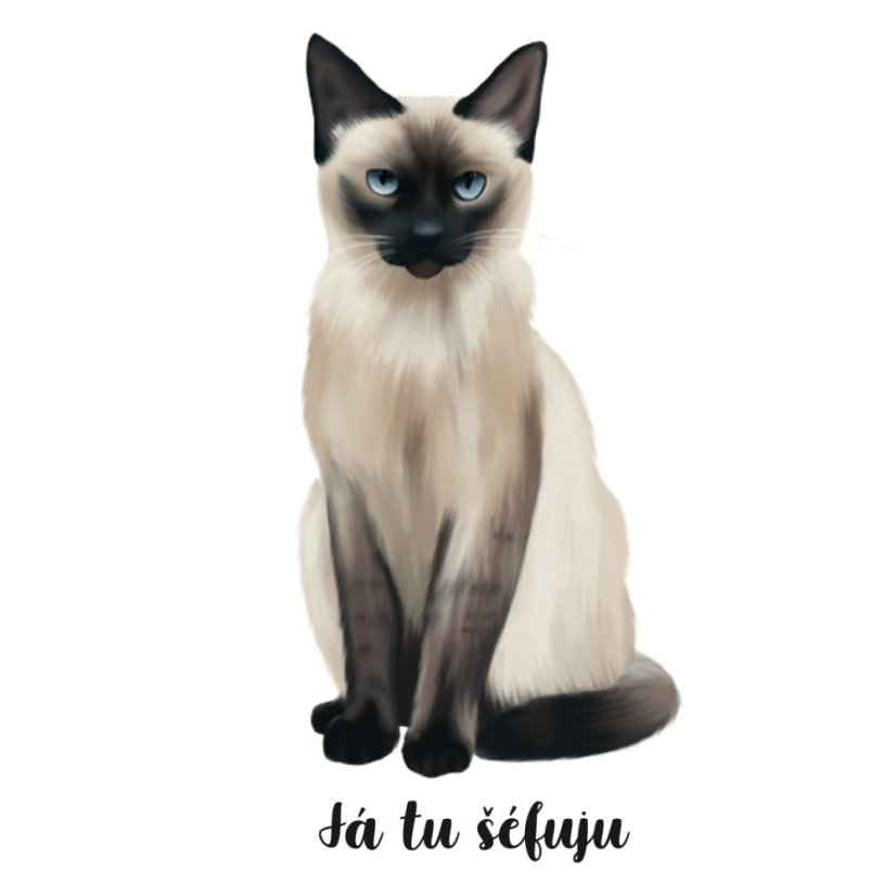 Be Nice Samolepka - Kočka