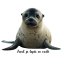 Be Nice Sticker - Sea lion