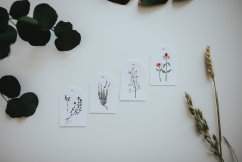 Be Nice Name tag Herbs